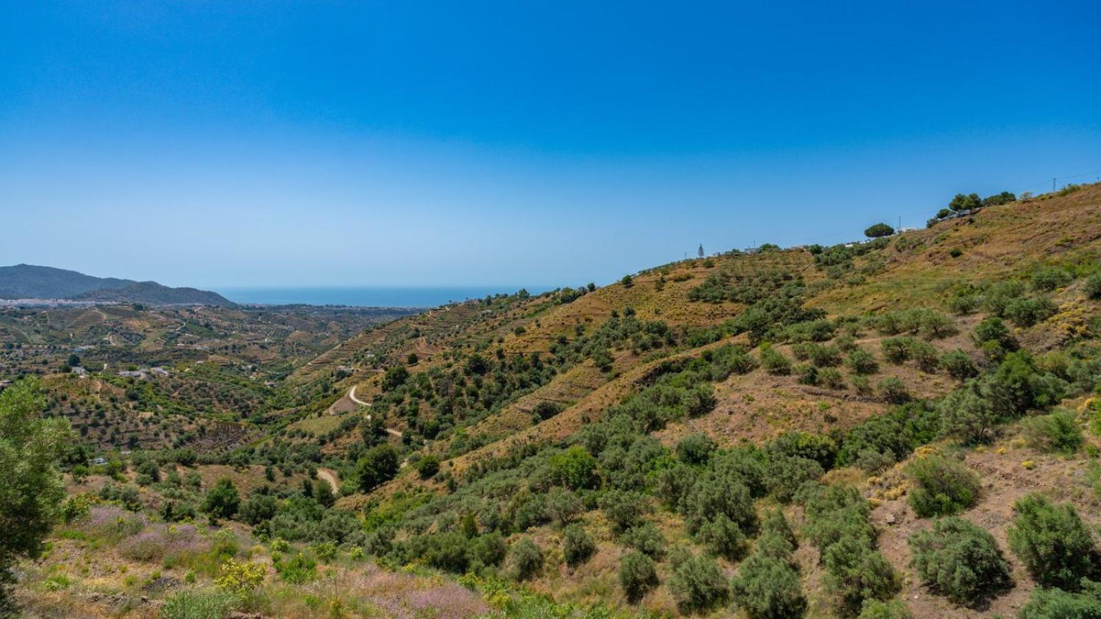 Villa Cortijo El Mirador Frigiliana By Ruralidays Esterno foto